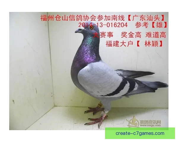 粤超实时比分更新 追踪最新赛事动态 关注即时比分变化